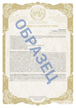 Образец Приложение к СТО 01.064.00220722.2-2020 Тихвин Сертификат СТО 01.064.00220722.2-2020 